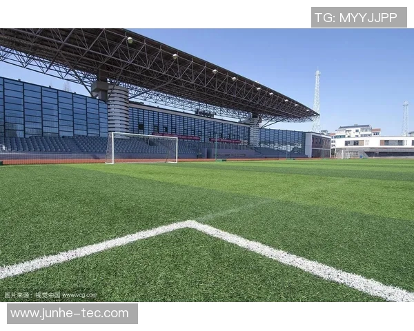 足球场看台上的热情与回忆交织成的青春岁月